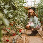 Femme en croupade récoltant des tomates dans un jardin verdoyant